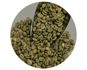 GAYO HONEY ARABICA GR1 TP
